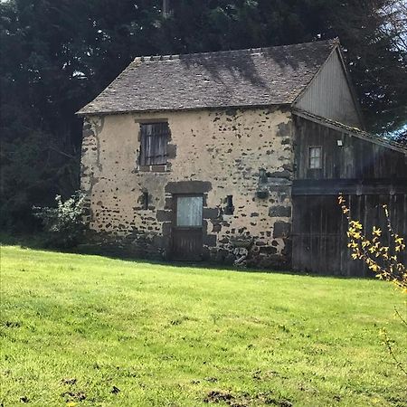 Reveil Aux Chants Des Oiseaux Asse-le-Riboul Esterno foto