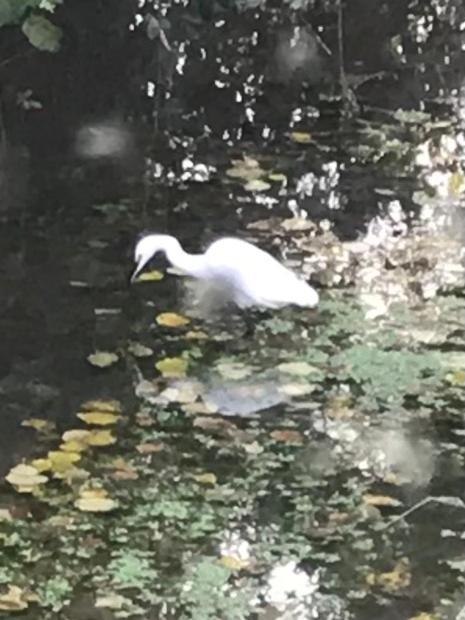 Reveil Aux Chants Des Oiseaux Asse-le-Riboul Esterno foto