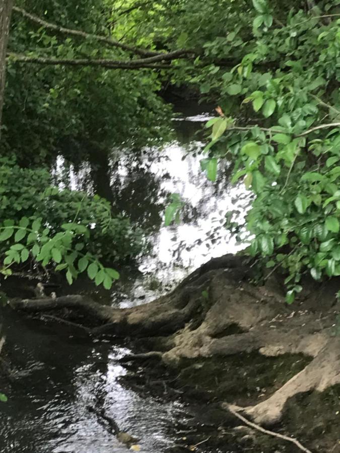 Reveil Aux Chants Des Oiseaux Asse-le-Riboul Esterno foto