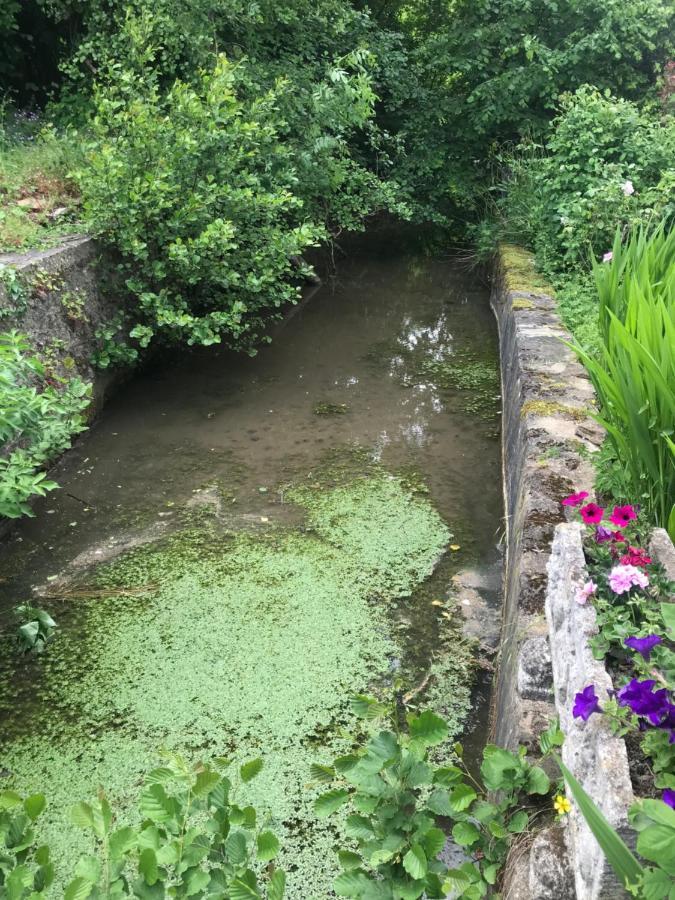 Reveil Aux Chants Des Oiseaux Asse-le-Riboul Esterno foto