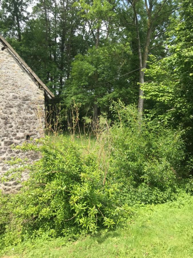Reveil Aux Chants Des Oiseaux Asse-le-Riboul Esterno foto